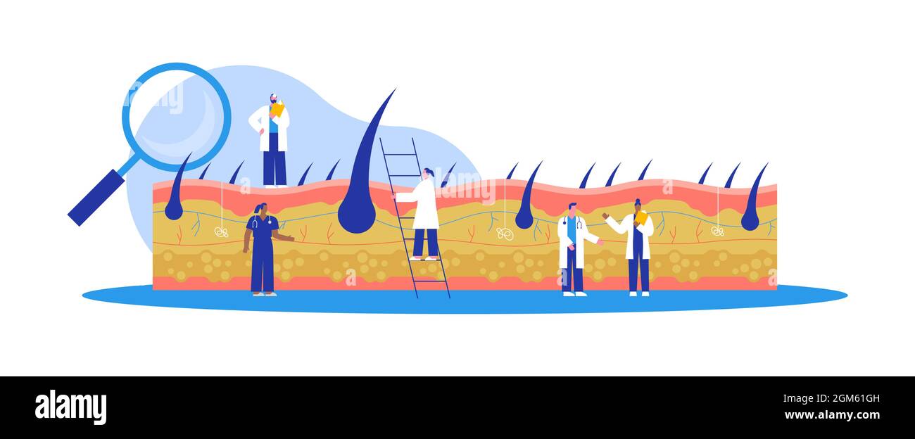 Dermatologo medico squadra che fa lo studio di medicina o la ricerca di scienza sulla pelle umana. Concetto di specialista perdita di capelli. Illustrazione medica isolata in moder Illustrazione Vettoriale