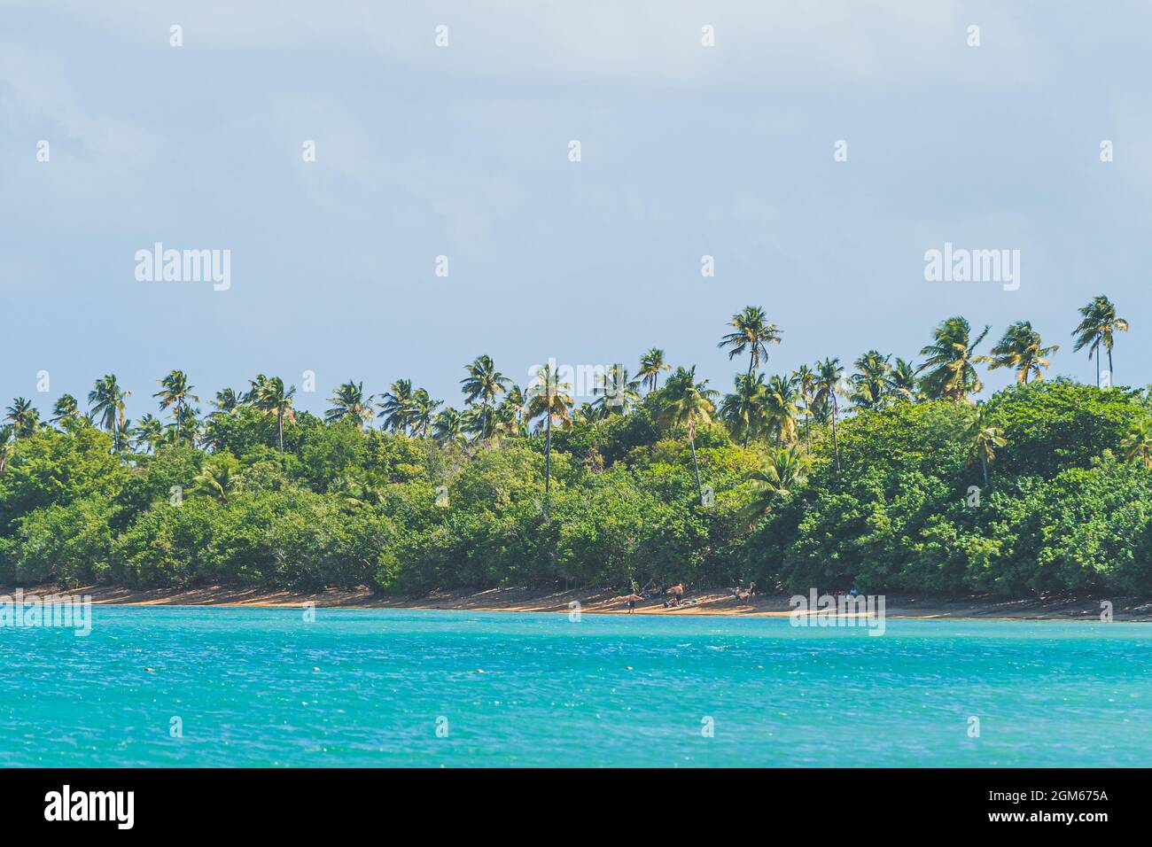 Lato orientale sette mare spiaggia in tropicale Fajardo Porto Rico Foto Stock