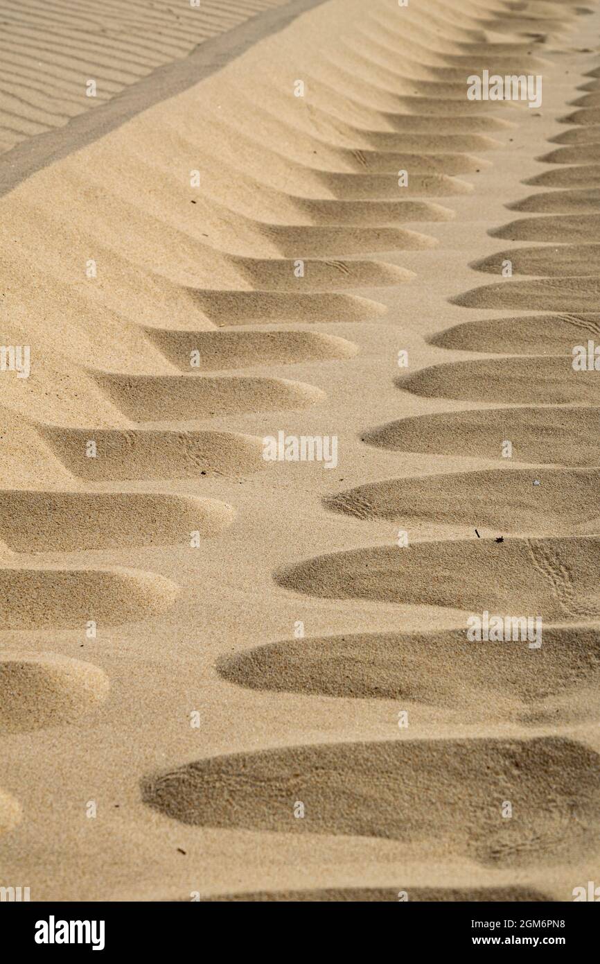Un'immagine astratta delle scanalature degli pneumatici delle auto nelle sabbie morbide di Tarifa nel sud della Spagna Foto Stock