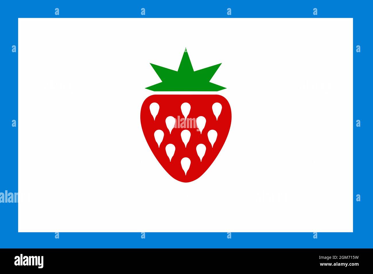 La bandiera tradizionale di Searcy County Bandiera Arkansas Foto Stock