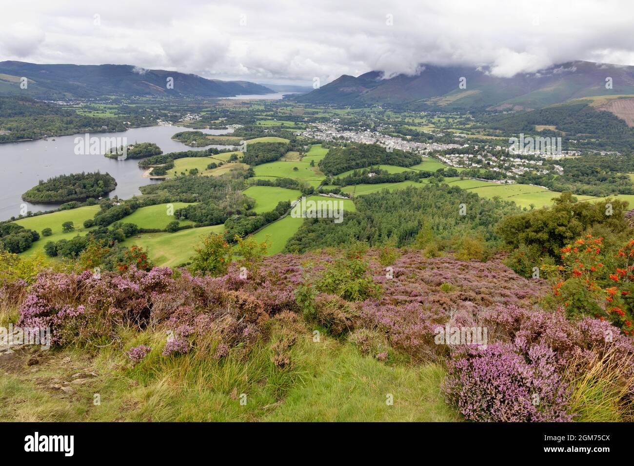 Il Lake District UK, paesaggio - Derwentwater e la città di Keswick in estate con l'erica in fiore, visto da Walla Crag, Cumbria UK Foto Stock