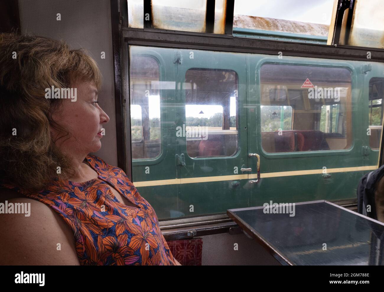 Viaggio in treno a vapore - una donna che viaggia in una carrozza vintage, Regno Unito. Vedere anche 2GM78C9 Foto Stock