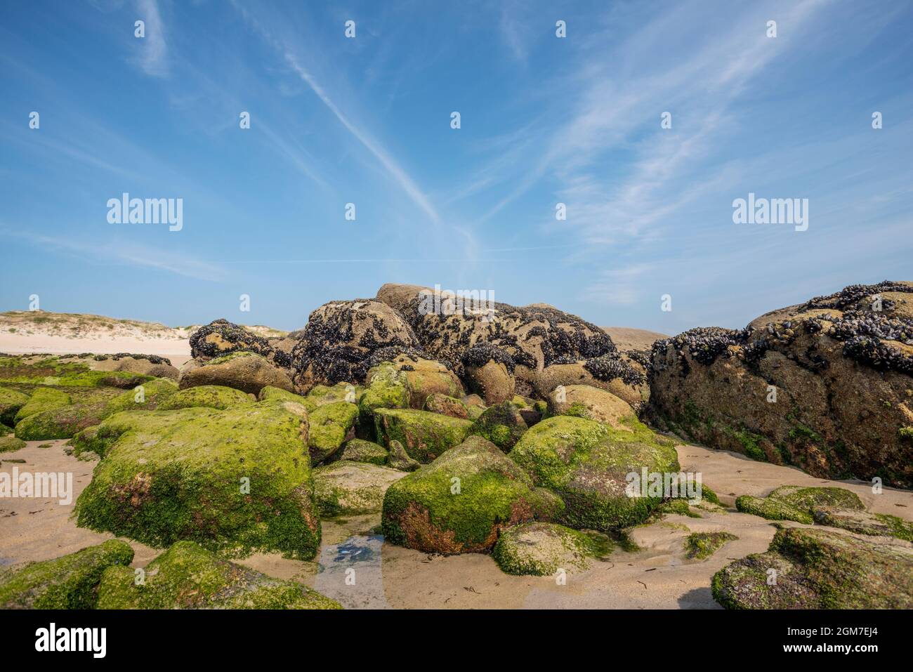 Rocce a bassa marea su una spiaggia galiziana con cozze che crescono sulla superficie e alghe su quelle più vicine alla sabbia Foto Stock