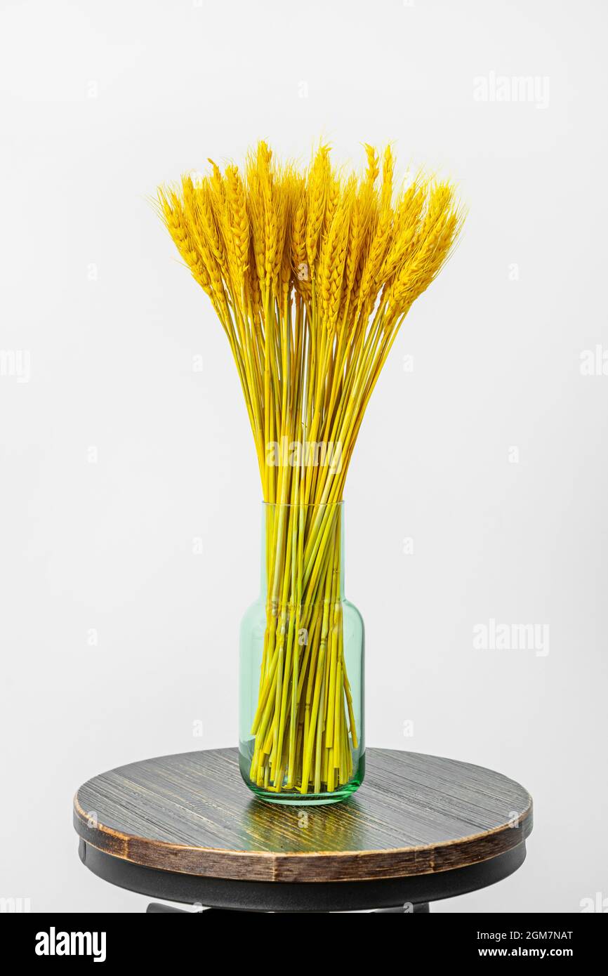 mazzo di spighe decorative di grano giallo in vaso di vetro verde  trasparente sulla parte superiore dello sgabello Foto stock - Alamy