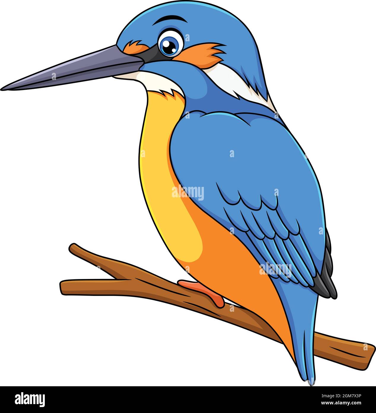 Carino Kingfisher uccello cartoon illustrazione vettoriale Illustrazione Vettoriale