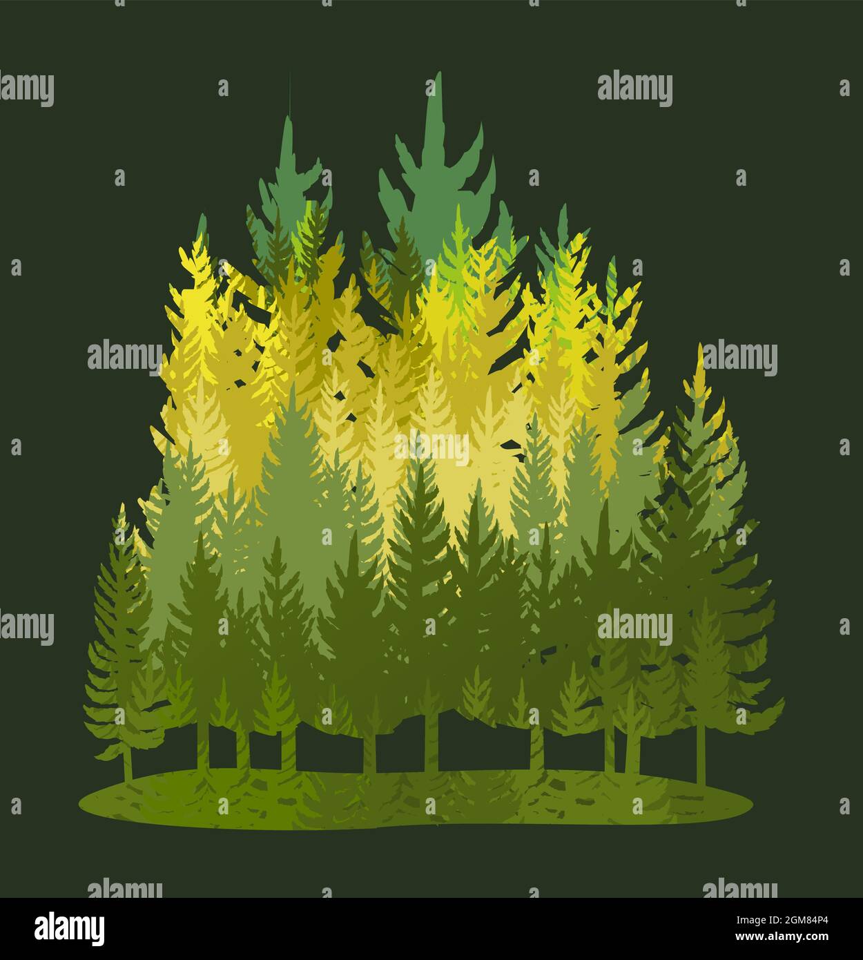 Silhouette Foresta. Paesaggio con alberi di conifere. Splendida vista notturna. Pino e abete rosso. Scena naturale estiva. Vettore di illustrazione Illustrazione Vettoriale