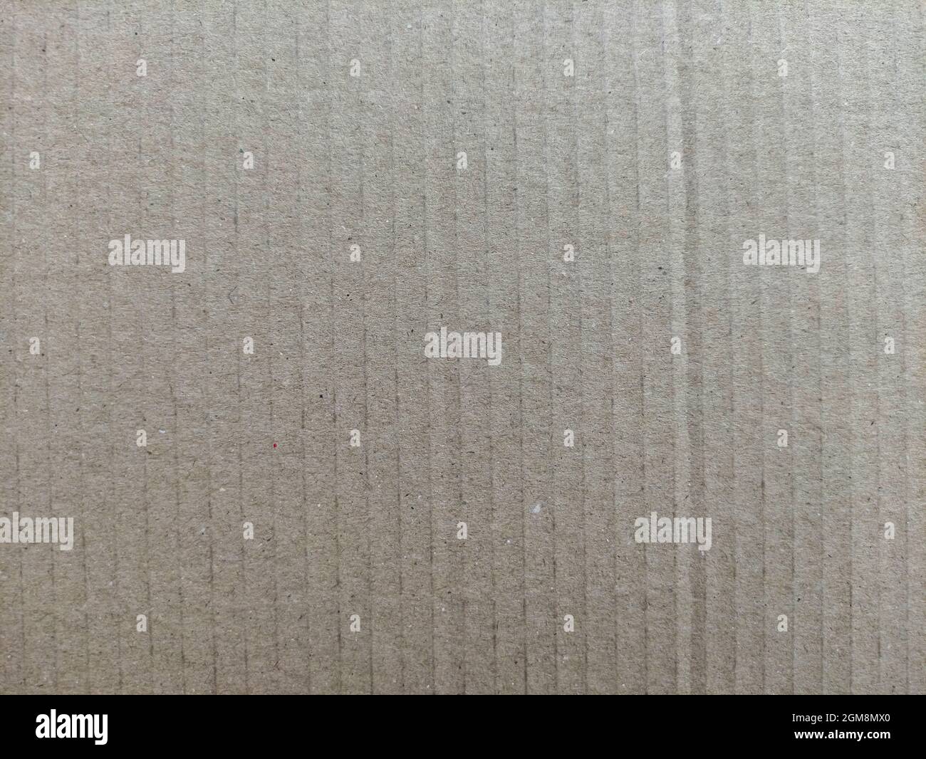 Grana fine di cartoncino beige Foto Stock