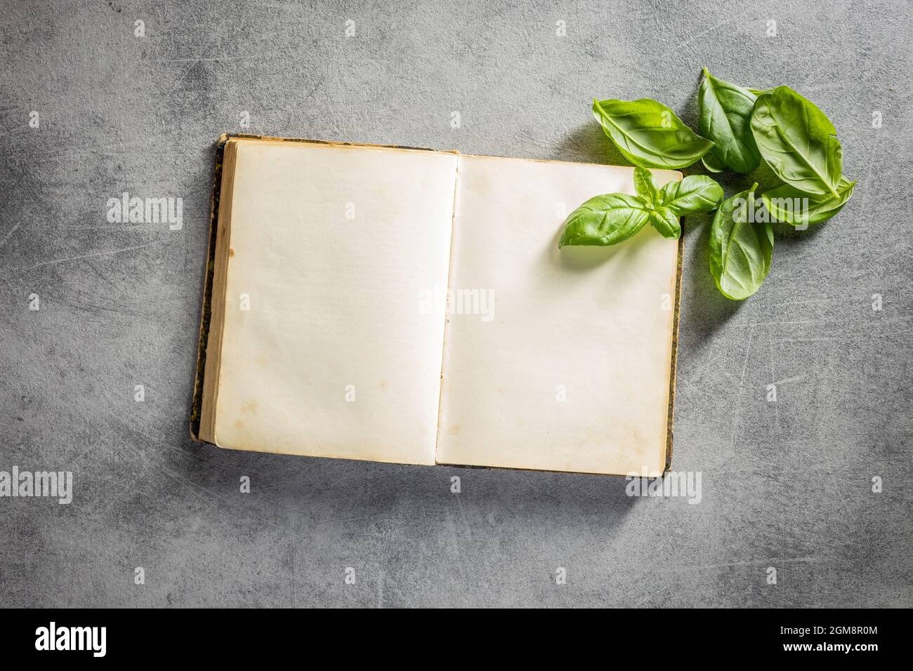 Libro di ricette in bianco. Libro di cucina e foglie di basilico verde sul  tavolo da cucina. Vista dall'alto Foto stock - Alamy