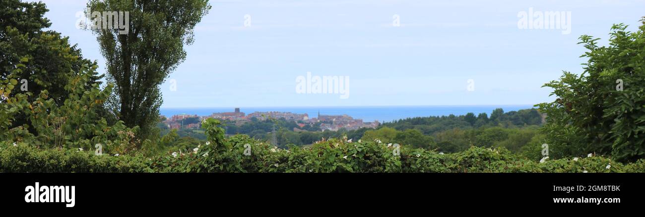 Whitby - Vista a lunga distanza Foto Stock