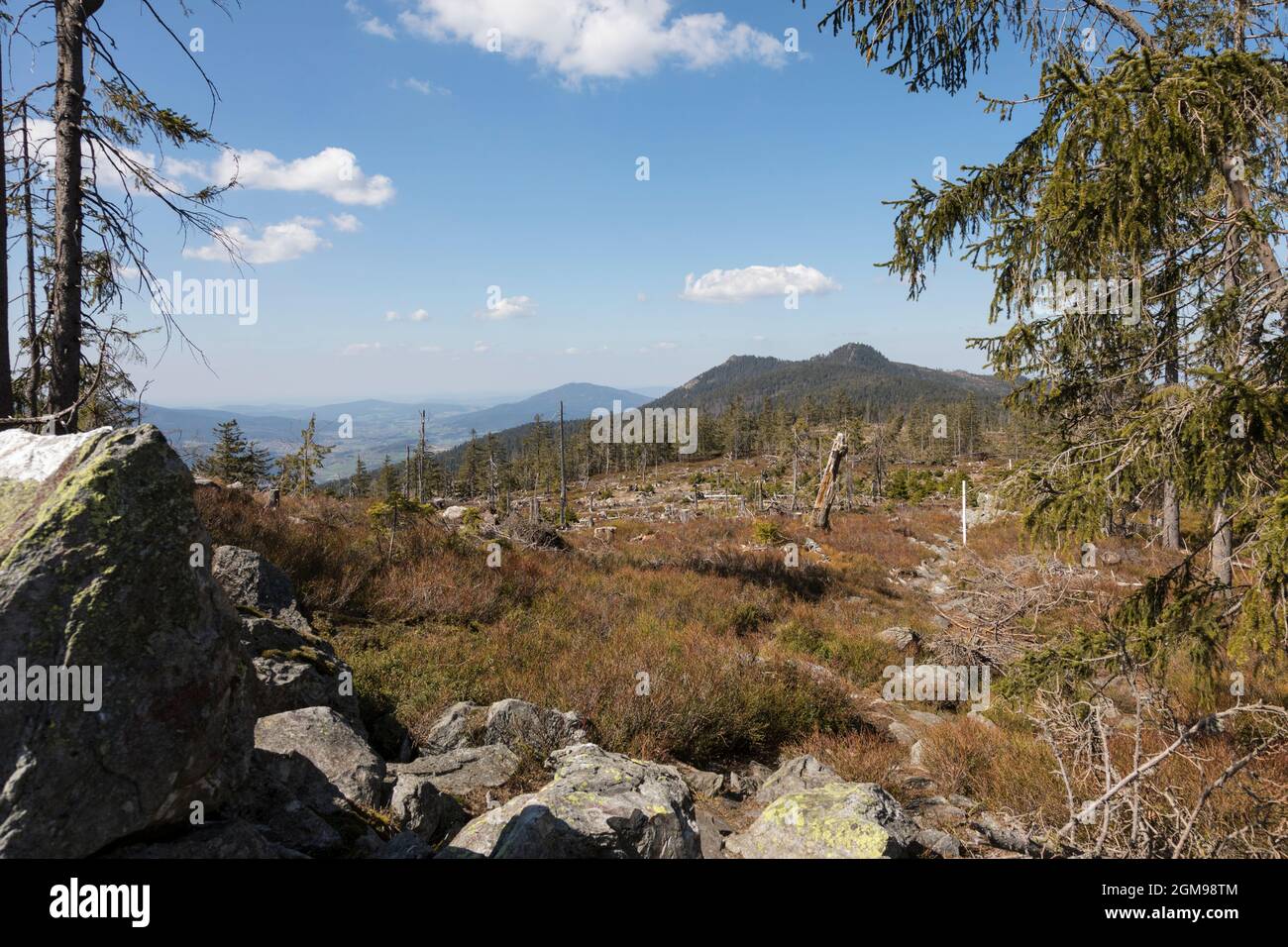 Wanderung von Zwercheck zum Grossen Osser Foto Stock