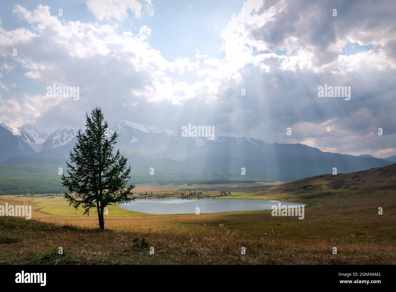 Splendida vista con raggi di sole e luce attraverso le nuvole sul lago, montagne coperte di neve e foresta e larice in primo piano. Altai, Foto Stock