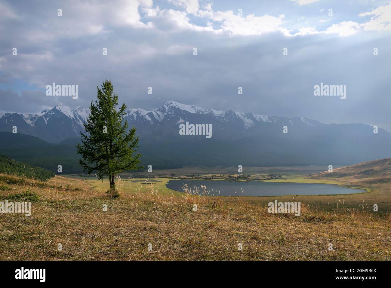 Splendida vista con raggi di sole e luce attraverso le nuvole sul lago, montagne coperte di neve e foresta e larice in primo piano. Altai, Foto Stock