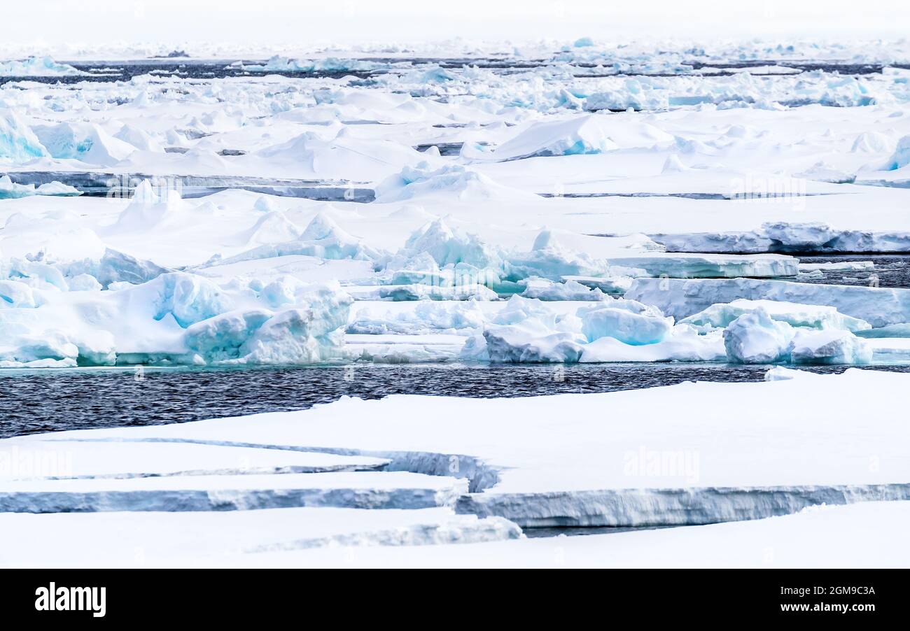 Pack ghiaccio, iceberg e galleggianti di ghiaccio del mare artico, a nord  di Svalbard. Il ghiaccio glaciale blu coperto di neve è un deserto  incontaminato, ma si fonde rapidamente Foto stock -