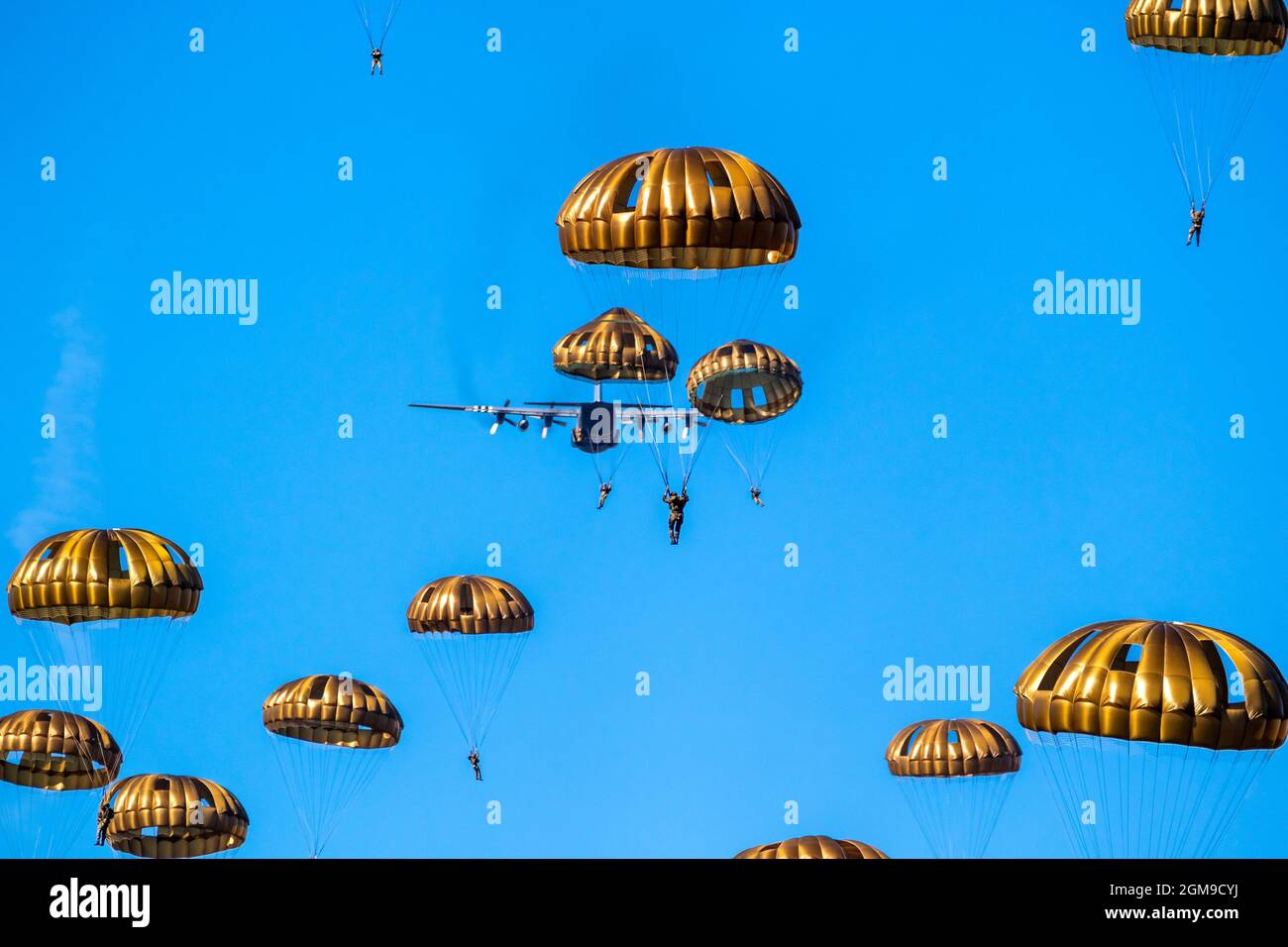 Paracadutisti militari paracadutisti paracadutisti che saltano fuori da un aereo di forze aeree in una giornata di cielo blu chiaro. Foto Stock