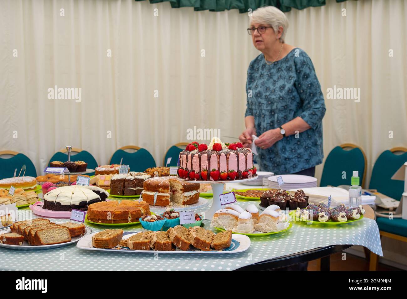 Engelfield Green, Egham, Regno Unito. 17 settembre 2021. Il personale del Savill Garden e i residenti che vivono nelle case del Windsor Great Park hanno tenuto oggi la loro settima mattinata di sostegno al cancro Macmillan Coffee Morning nei terreni del Savill Garden. Sin dall'inizio della mattinata del caffè, i panettieri per torte hanno raccolto più di 8.000 sterline per il cancro MacMillan. L'evento dell'anno scorso ha dovuto essere annullato a causa del Covid-19. Credit: Maureen McLean/Alamy Live News Foto Stock