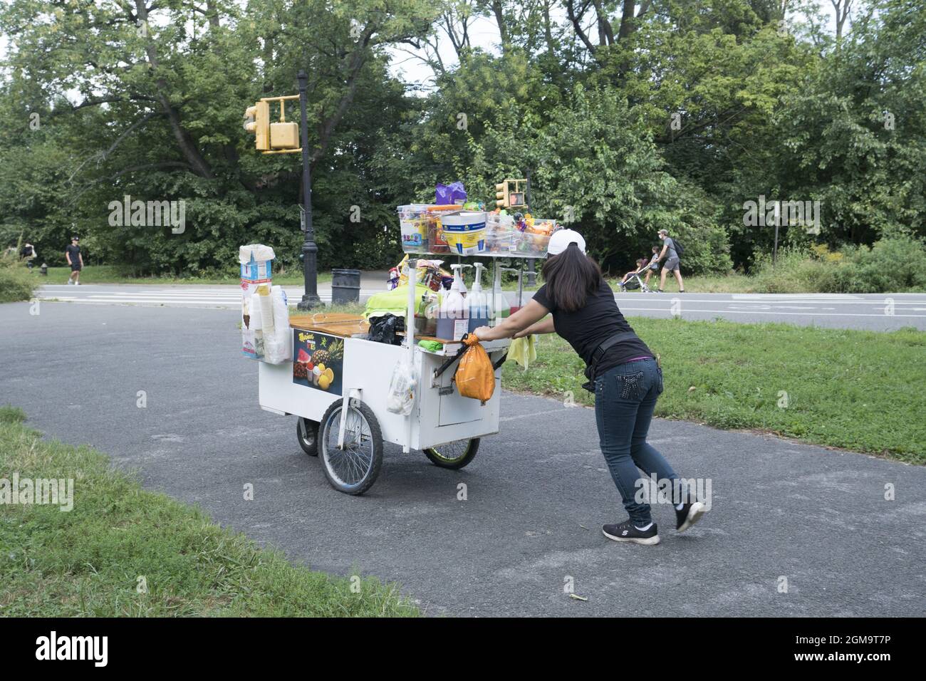 Una donna che lavora sodo spinge il suo carrello attraverso il Prospect Park, vendendo ghiaccio italiano e altri spuntini in una giornata estiva a Brooklyn, New York. Foto Stock