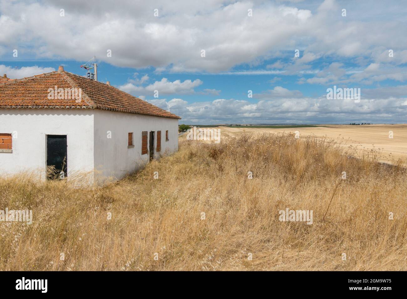 Campi di grano secco nella regione di Alentejo, Portogallo. Foto Stock