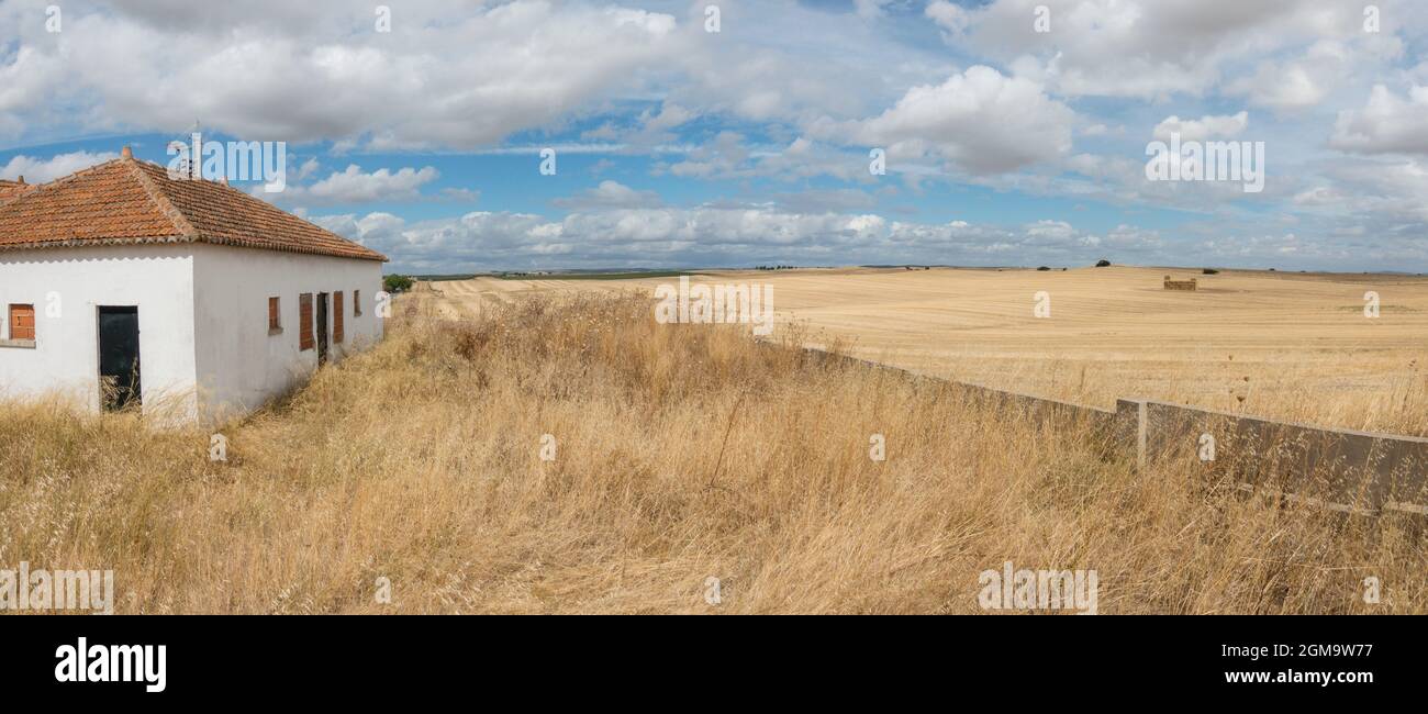 Campi di grano secco nella regione di Alentejo, Portogallo. Foto Stock