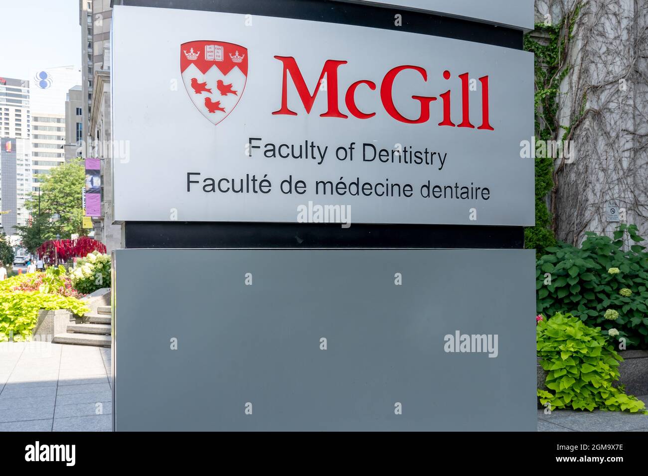 Segno della McGill University Facoltà di Odontoiatria a Montreal, QC, Canada. Foto Stock