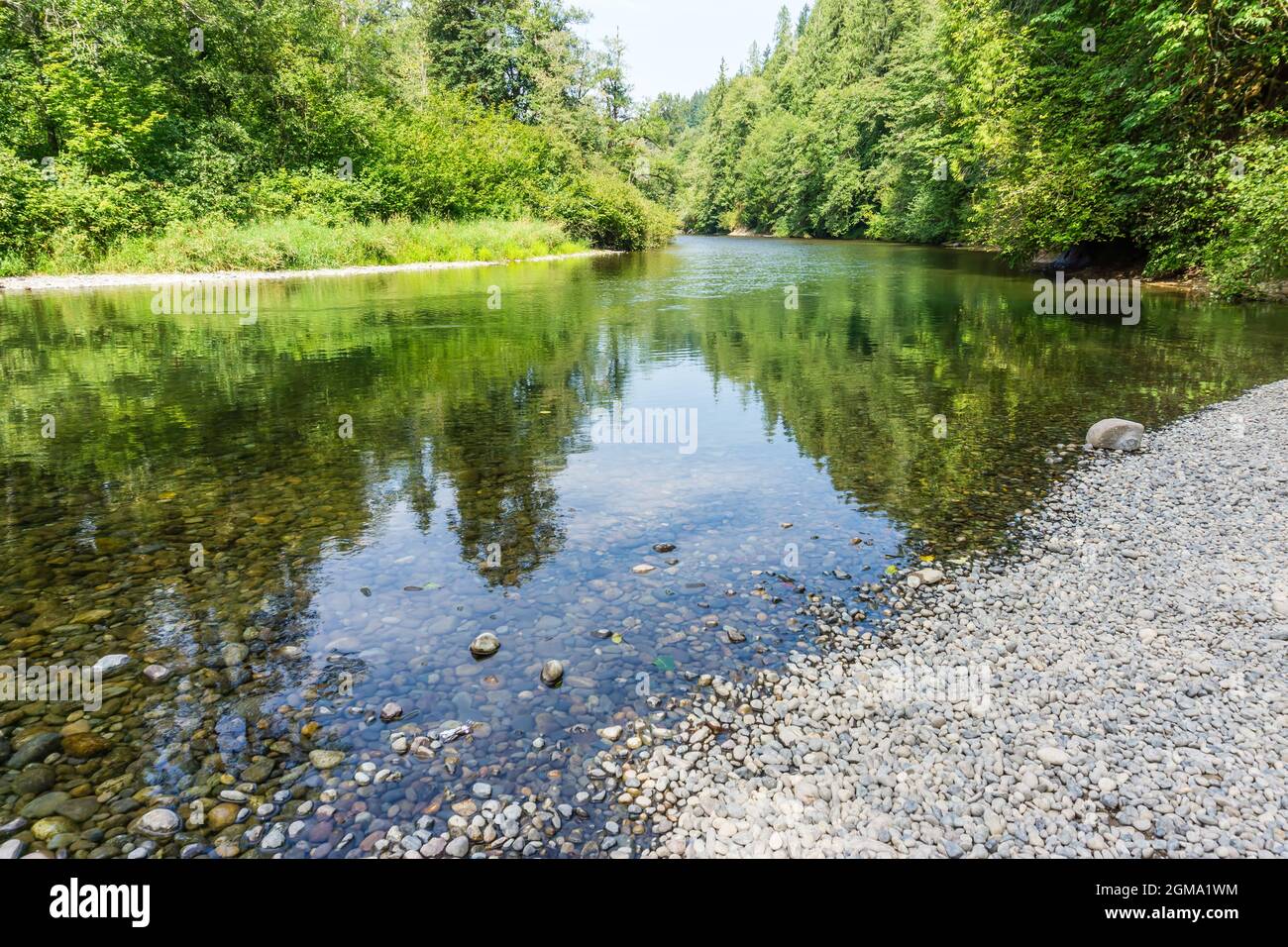 Gli alberi si riflettono nel Green River nello stato di Washington. Foto Stock