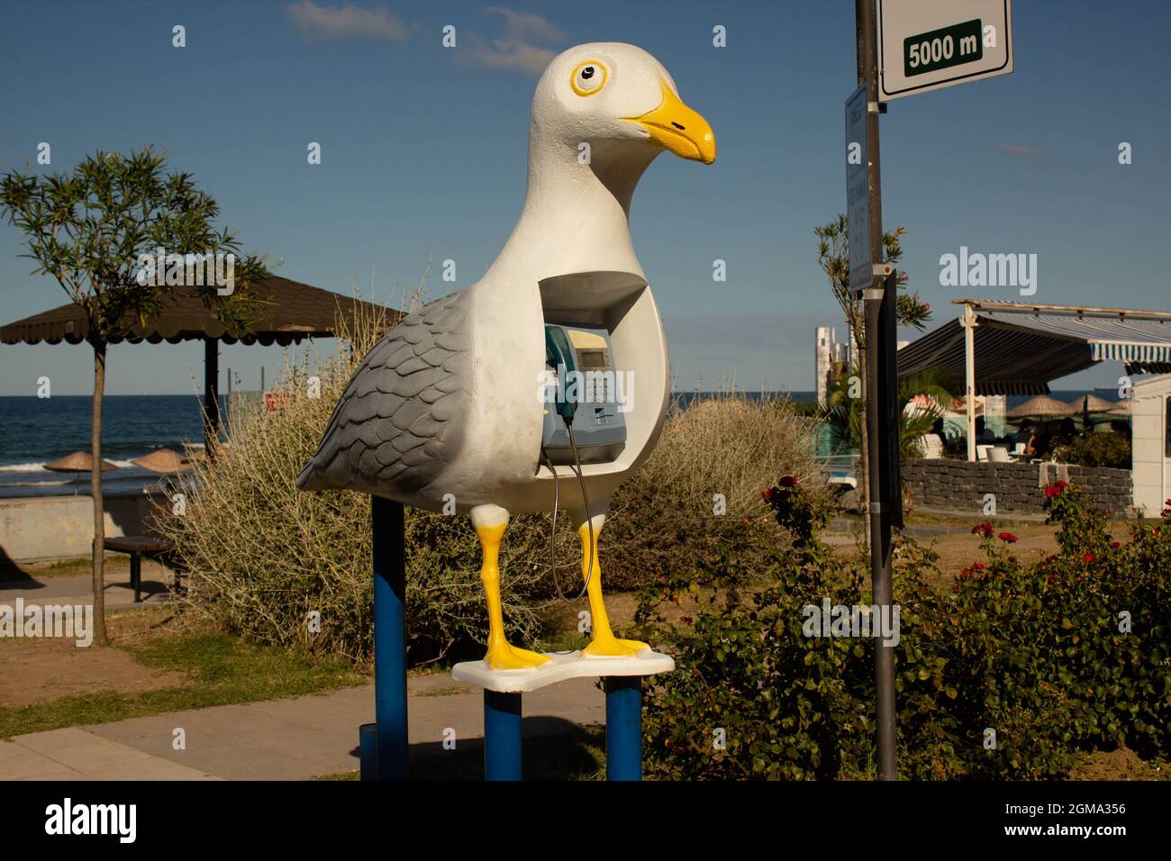 telefono a pagamento a forma di gabbiano. architettura della città spaventosa. tecnologia antiquata ancora una parte della nostra vita. Foto Stock