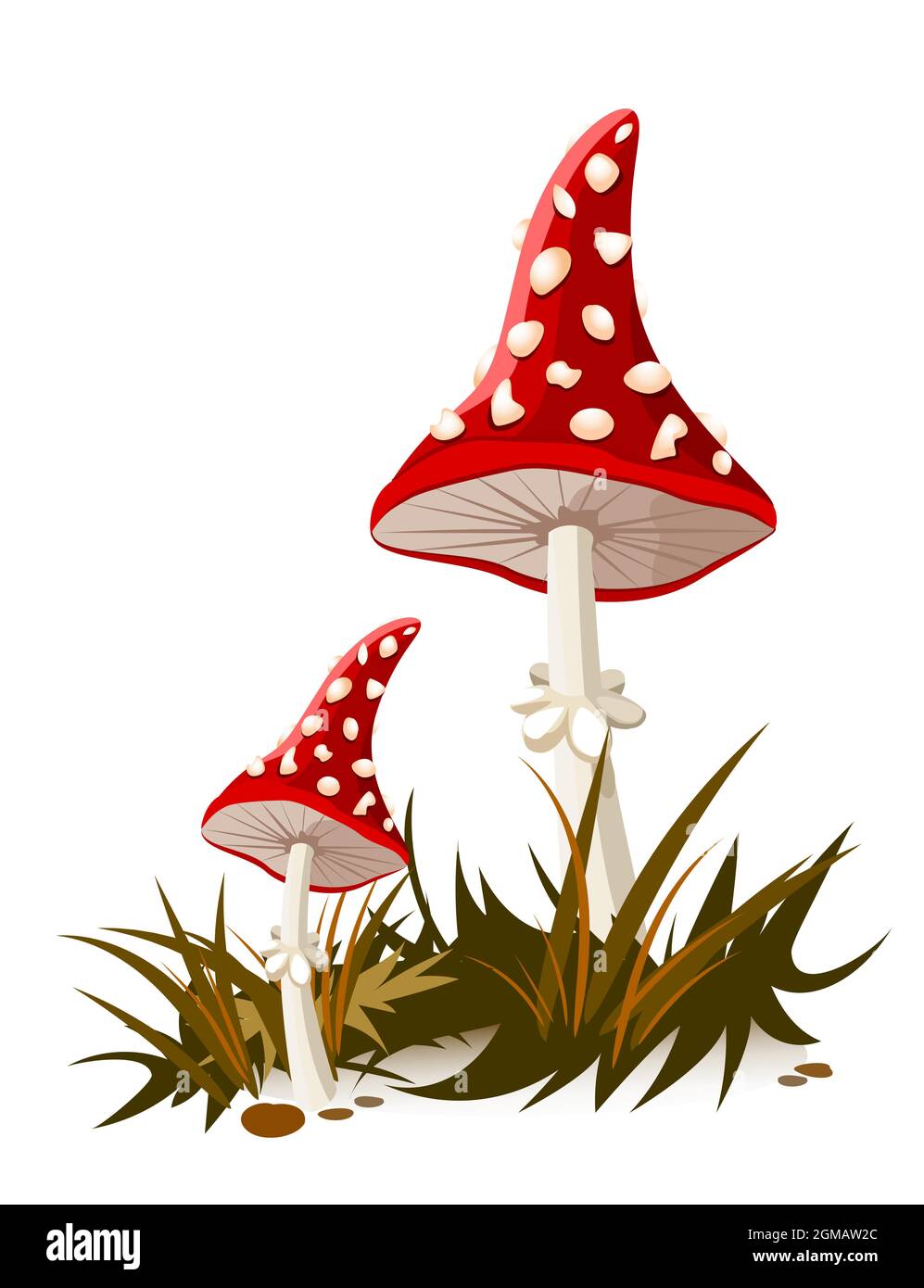 Bellissimi funghi cartoni animati con un cappello rosso e macchie bianche. Fungo Amanita. Illustrazione Vettoriale