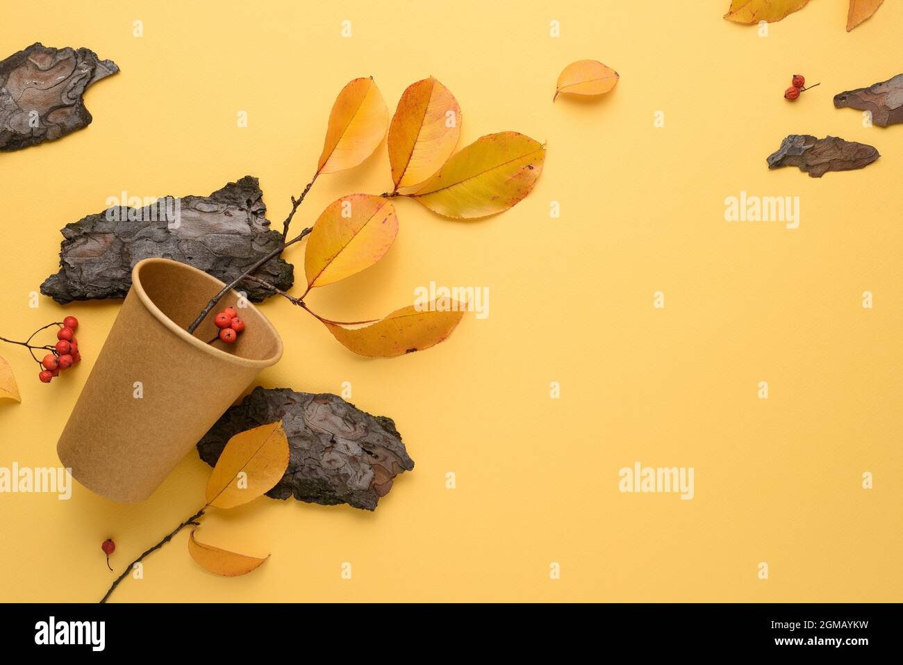 Sfondo autunnale con un decor di foglie cadute e erbario su sfondo giallo con spazio per la copia del testo Foto Stock