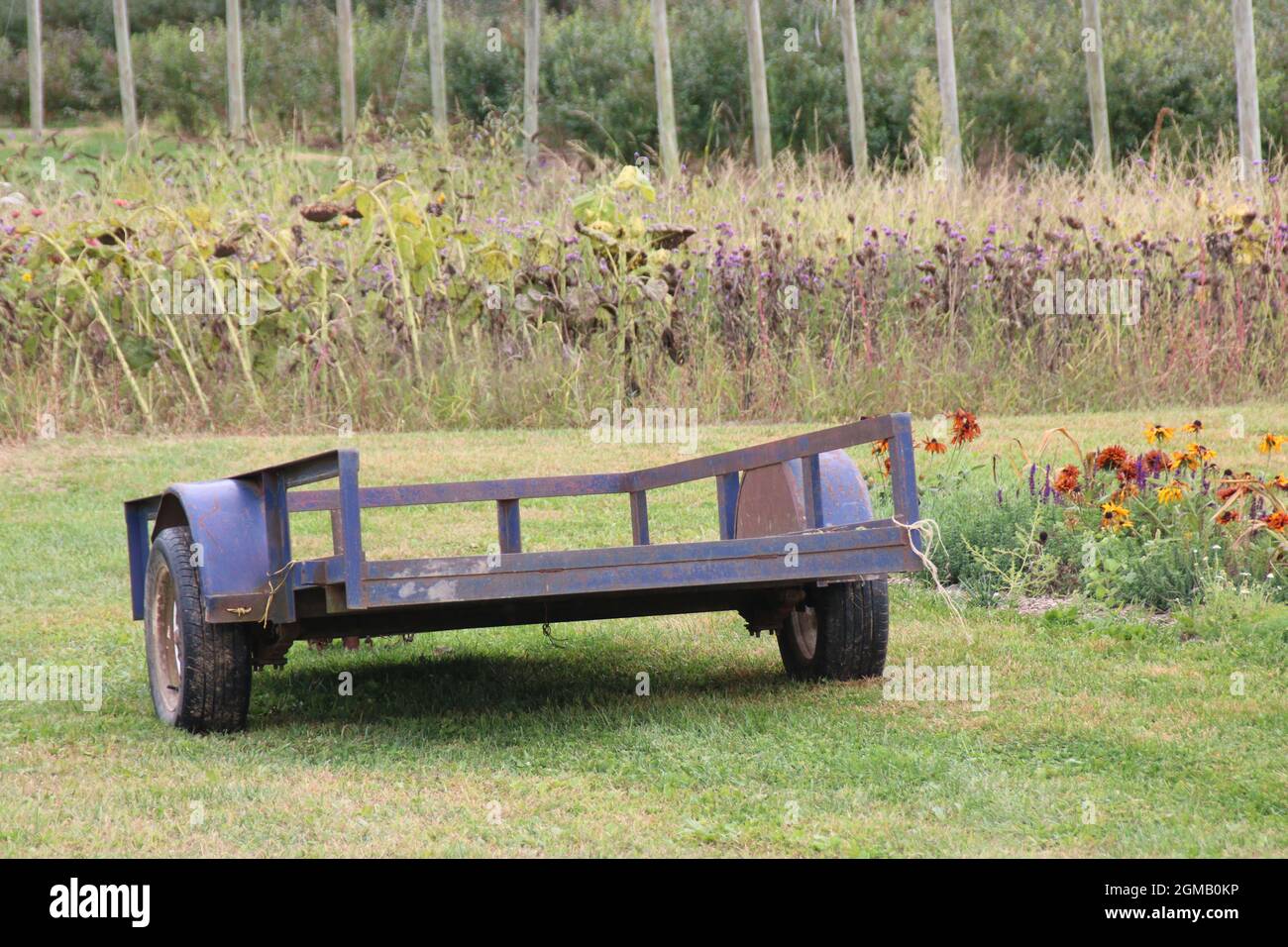 Primo piano di un vecchio rimorchio agricolo a terra in campagna Foto Stock