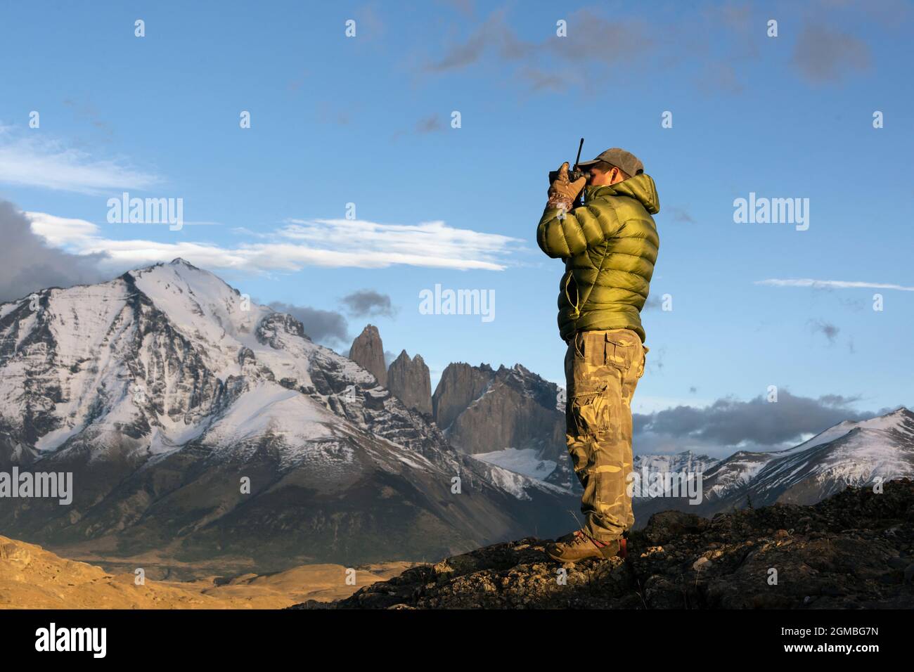 Alla ricerca di pomas, Parco Nazionale Torres del Paine, Patagonia Foto Stock