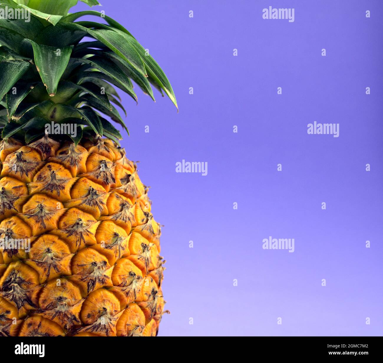 Ananas, succosa frutta estiva tropicale su sfondo blu texture astratto. Testa su colpo con spazio libero. Foto Stock