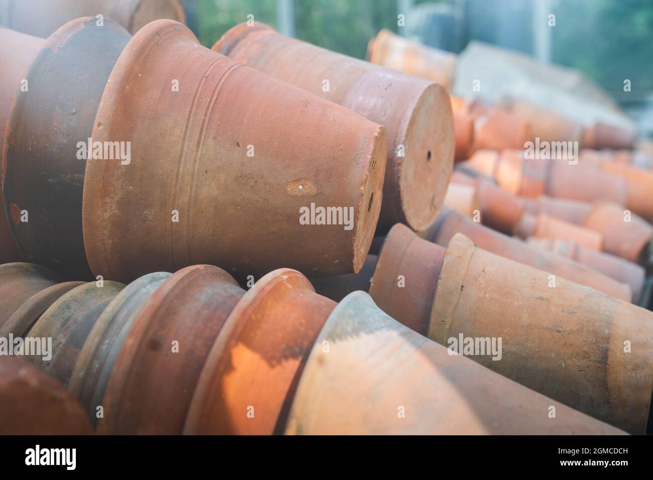 Vasi vuoti di terracotta di terracotta per la vendita al dettaglio, piante di casa in crescita nel verde Foto Stock