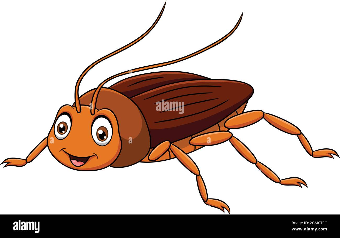 Carino illustrazione vettoriale del cartone animato di Cockroach Illustrazione Vettoriale