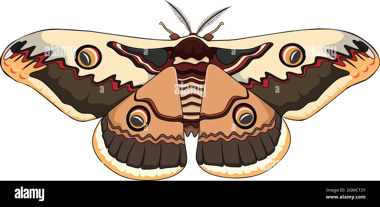 Carino illustrazione vettoriale del cartoon Moth Illustrazione Vettoriale