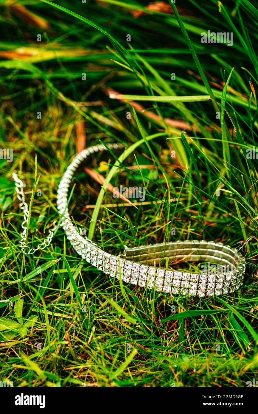 Choker collana argento caduto in un campo di erba Foto Stock