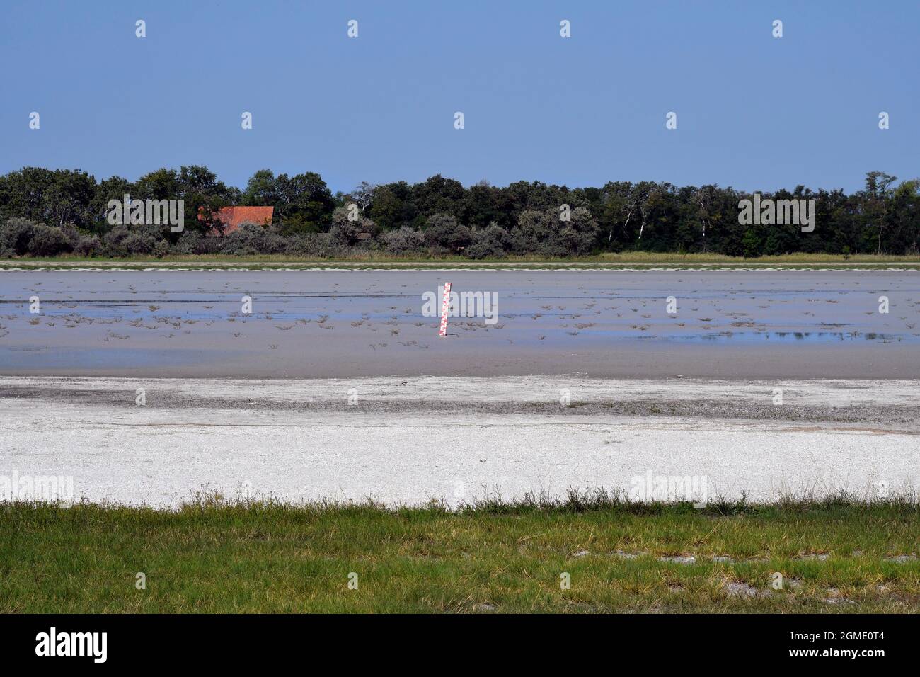 Austria, parco nazionale Neusiedler See-Seewinkel nel Burgenland, nella pianura pannoniana, meta turistica popolare con paesaggio di steppe, zone umide, Foto Stock