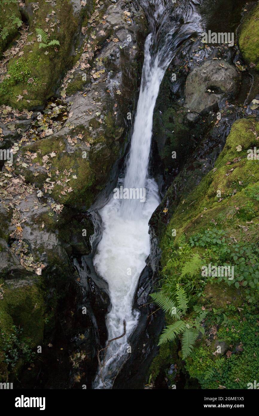 Dettagli cascata Foto Stock