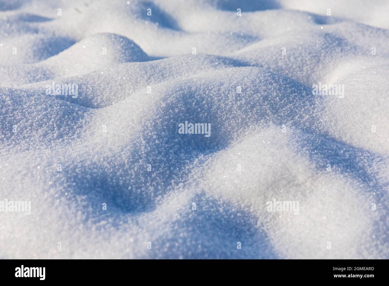 Primo piano di neve fresca e profonda, concetto invernale freddo. Foto Stock