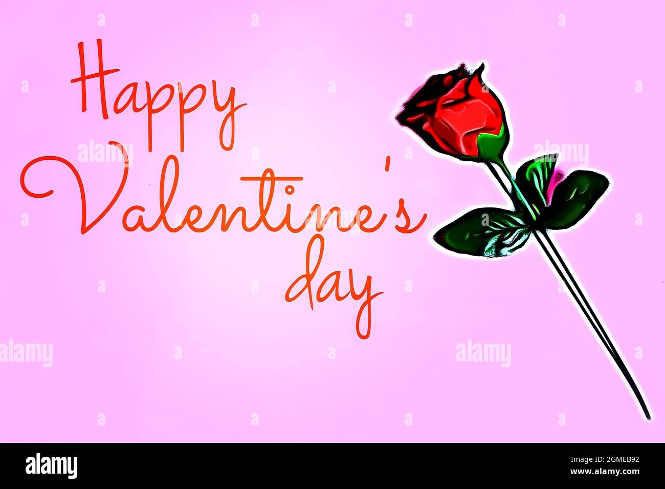 Buon San Valentino con rosa rossa su sfondo rosa. Foto Stock
