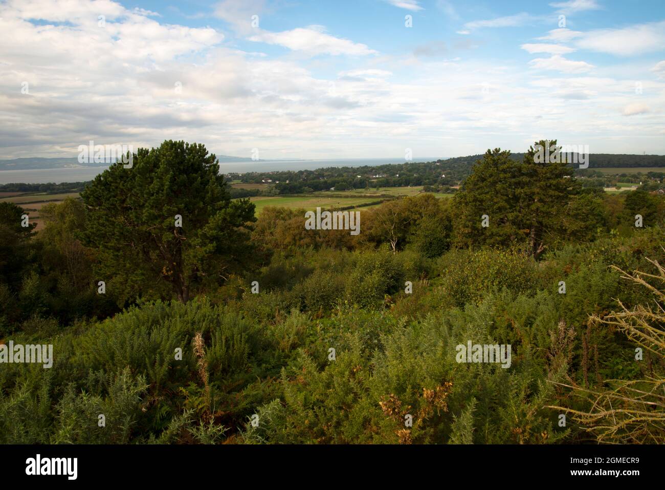 Verso l'estuario del Dee e il Galles del Nord dal Wirral Country Park, NW, Regno Unito Foto Stock