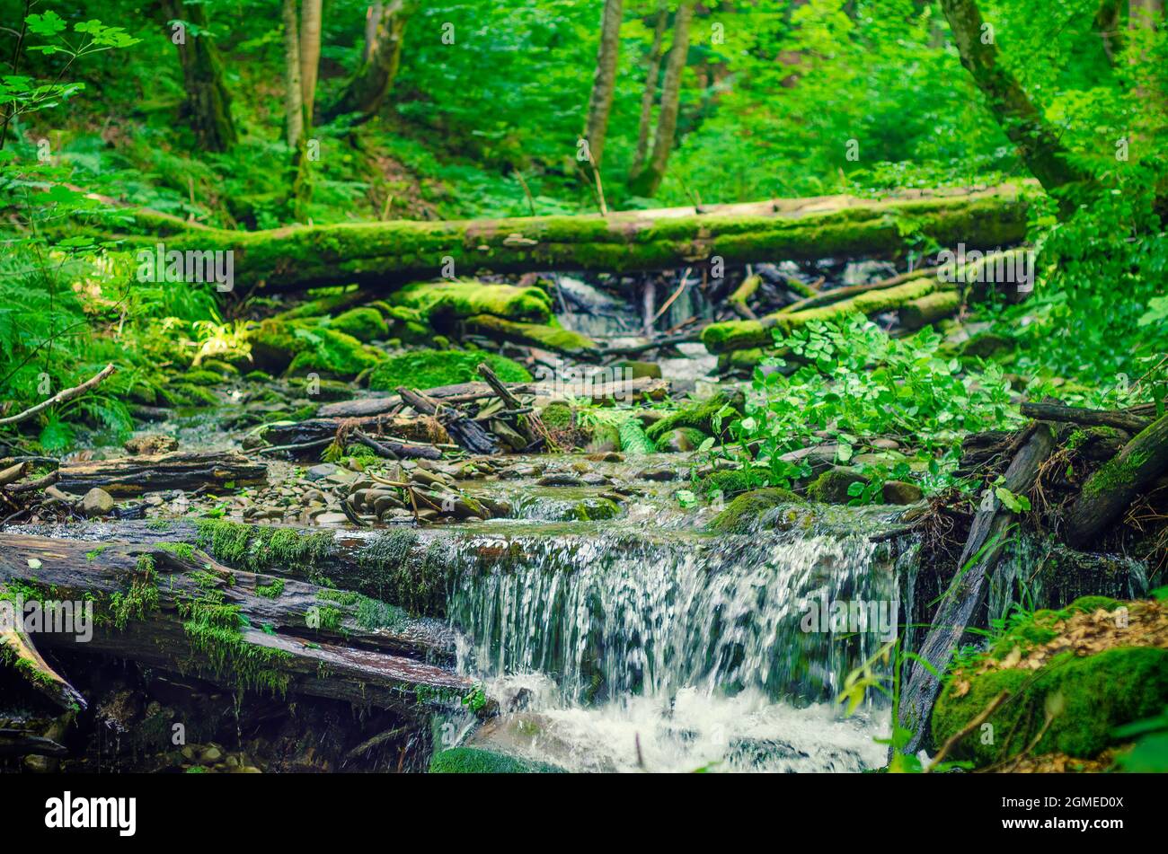 Cascata magica nascosta nel profondo della foresta. Concentrarsi sul flusso d'acqua Foto Stock