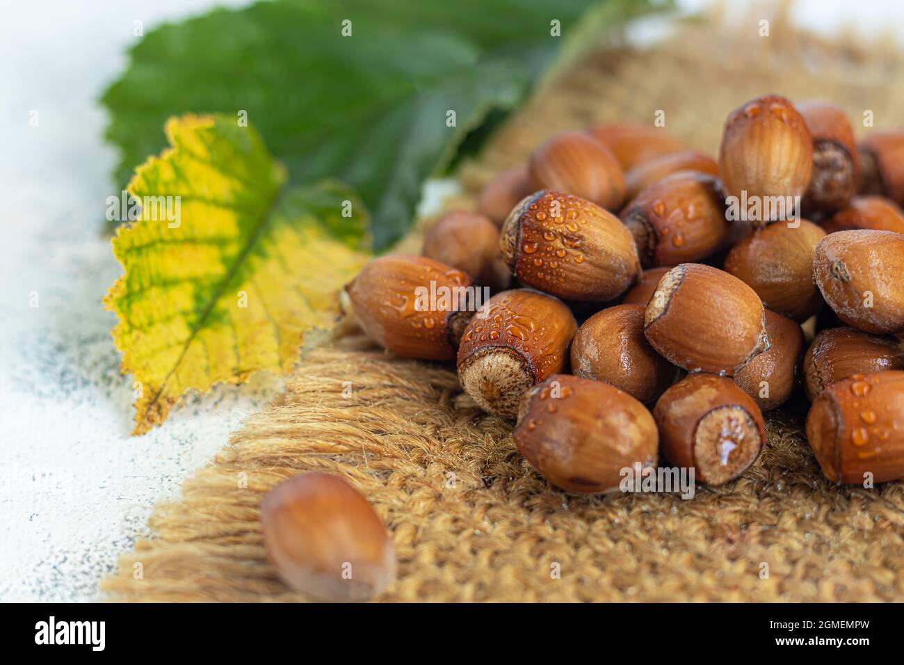 Nocciole su sfondo chiaro con foglie verdi. Contiene vitamine e minerali benefici. Spazio di copia. Foto Stock