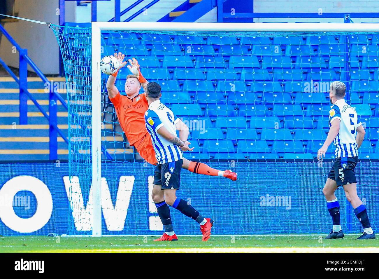 Bailey Peacock-Farrell #1 di Sheffield Mercoledì fa un salvataggio vitale Foto Stock