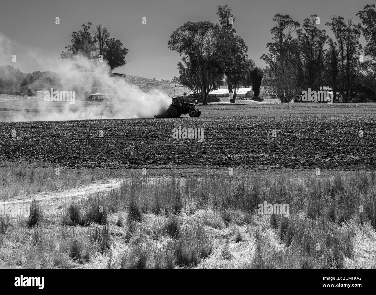 Un trattore e un agricoltore arano il campo lasciando un impressionante pennacchio di polvere sul campo. Foto Stock