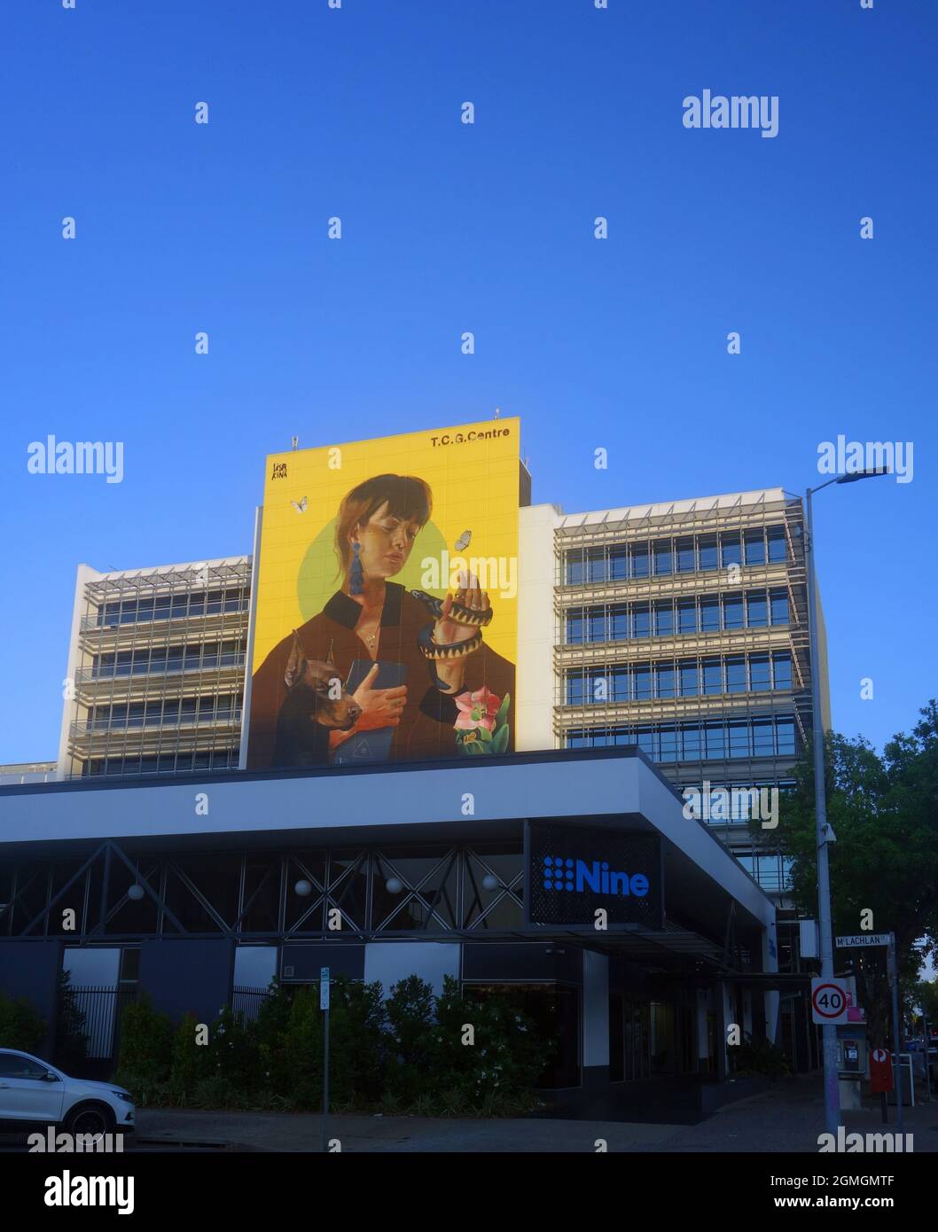 Spettacolare murale di Lisa King sul TGC Center Wall, Darwin, Northern Territory, Australia. No PR Foto Stock