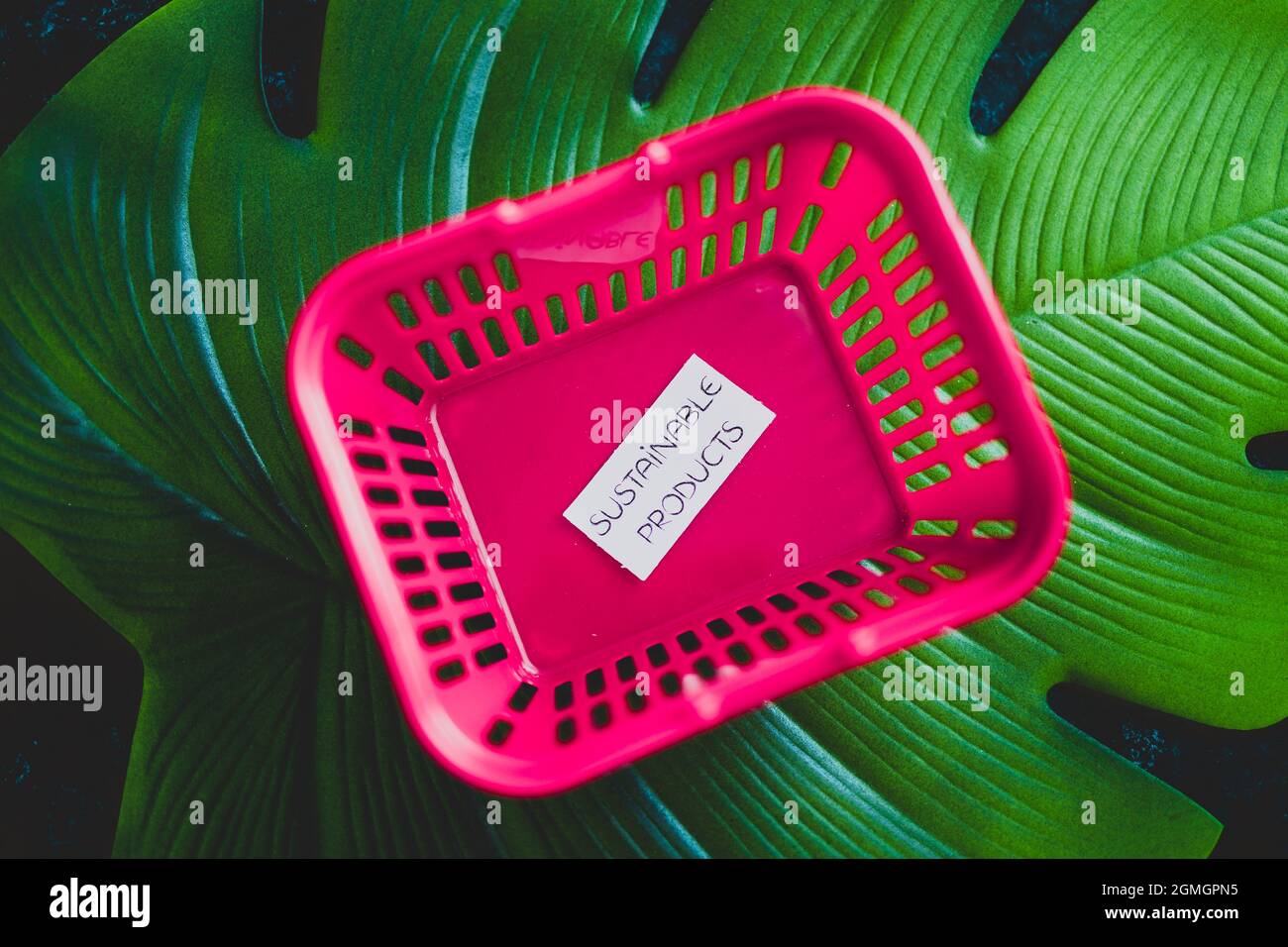 acquistare prodotti sostenibili concetto di ecogy e comportamento del consumatore, carrello vuoto rosa shopping con il testo in cima alla foglia verde tropicale Foto Stock