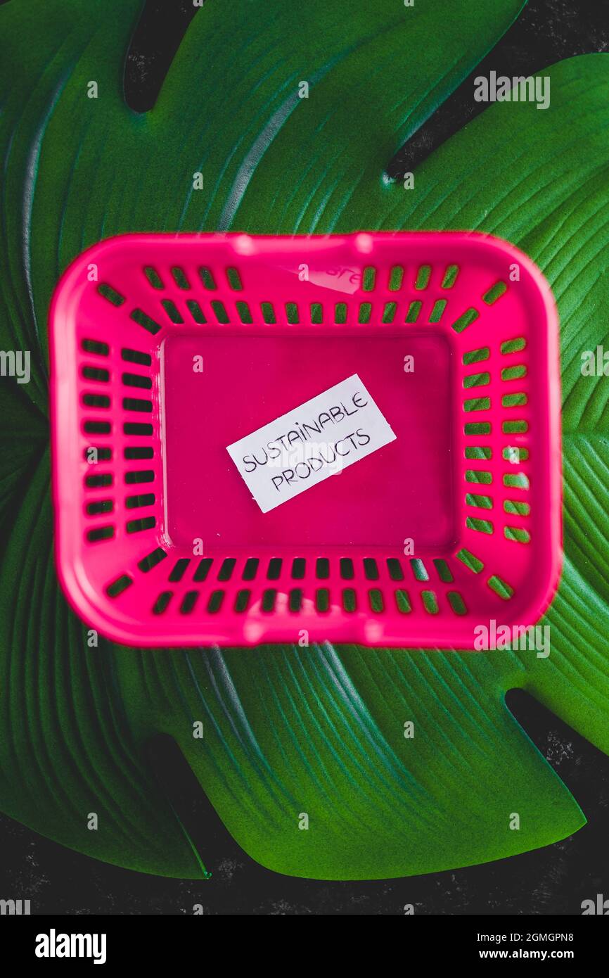 acquistare prodotti sostenibili concetto di ecogy e comportamento del consumatore, carrello vuoto rosa shopping con il testo in cima alla foglia verde tropicale Foto Stock