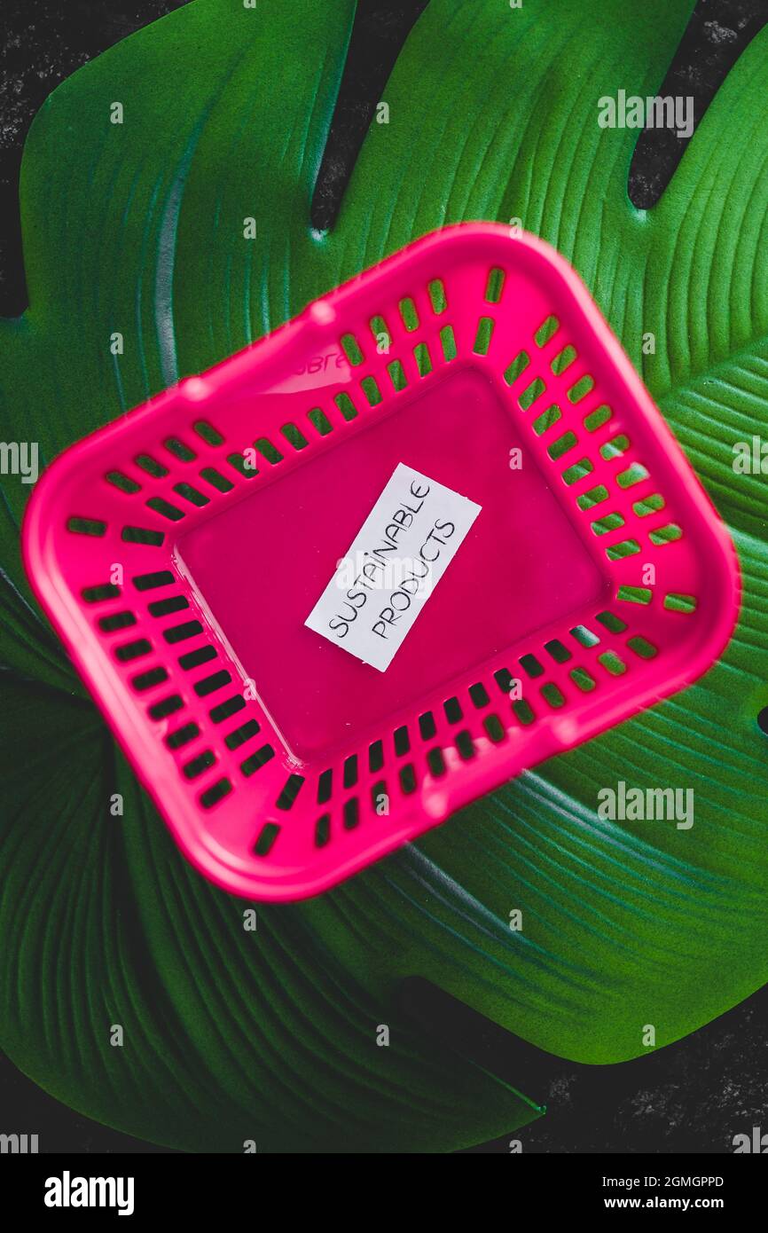 acquistare prodotti sostenibili concetto di ecogy e comportamento del consumatore, carrello vuoto rosa shopping con il testo in cima alla foglia verde tropicale Foto Stock