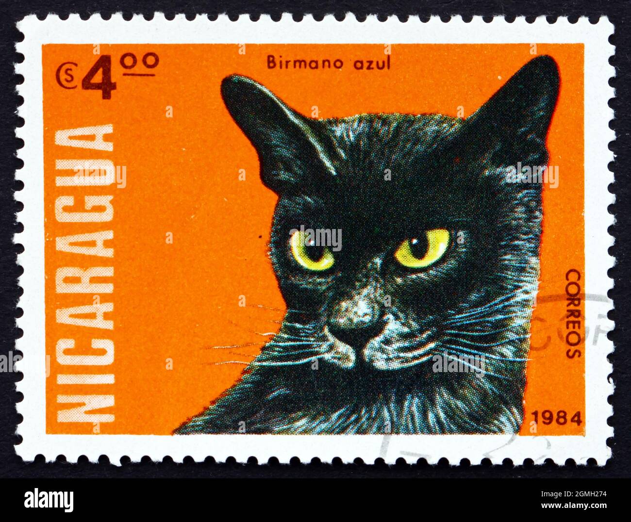 NICARAGUA - CIRCA 1984: Un francobollo stampato in Birmano Blu, gatto domestico, circa 1984 Foto Stock