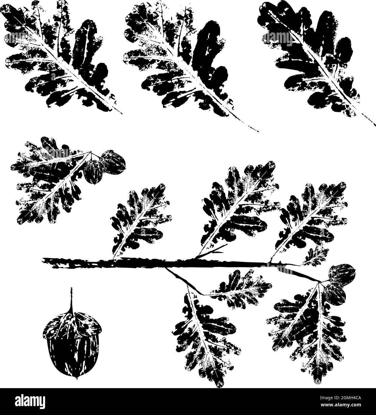 Stampa a inchiostro colorato di una foglia caduta autunno. Foglia di acquerello. Illustrazione Vettoriale