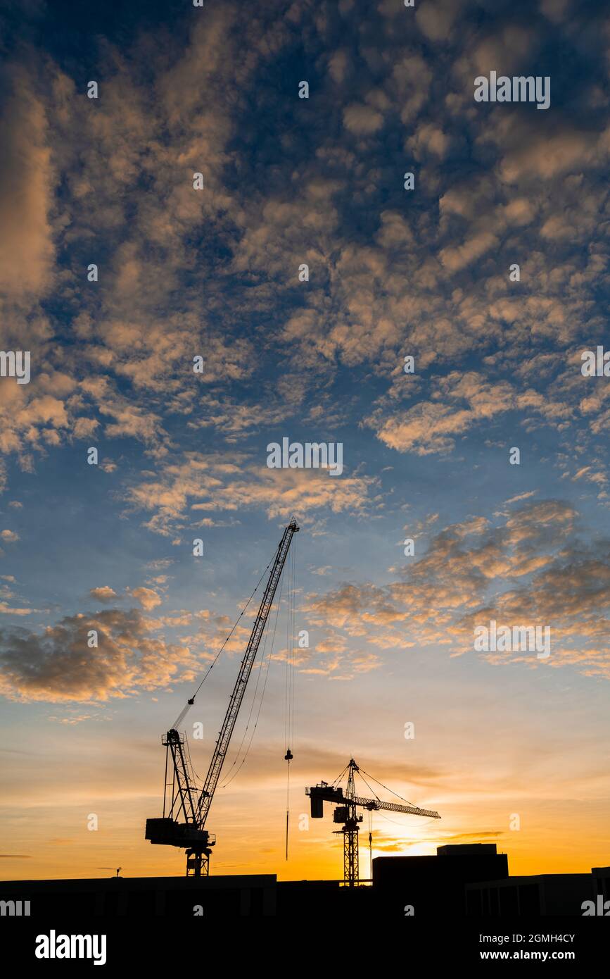 Industrial gru per edilizia e costruzione di sagome su sun a sunrise. Foto Stock